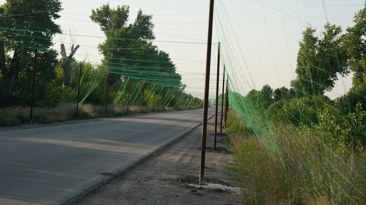 За підтримки Уряду облаштують антидроновий захист ще на кількох десятках кілометрів доріг у Сумах